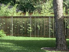 a dog is standing in the grass next to a tree and fence that has vertical slats on it