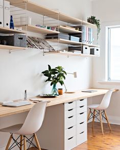 a desk with two chairs and a plant on it