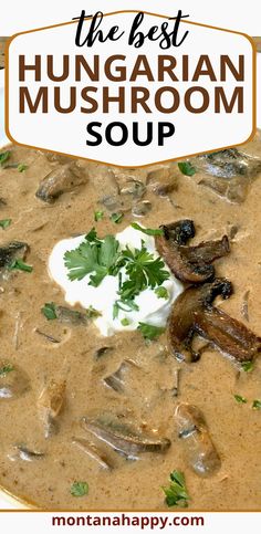 the best hungarian mushroom soup recipe with mushrooms and parsley