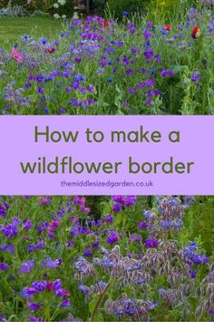 wildflower garden with text overlay how to make a wildflower border