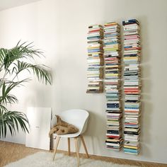 a room with a chair, bookshelf and a potted plant