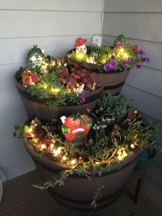 three potted plants with fairy lights on them