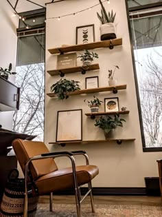 a chair and some shelves with plants on them