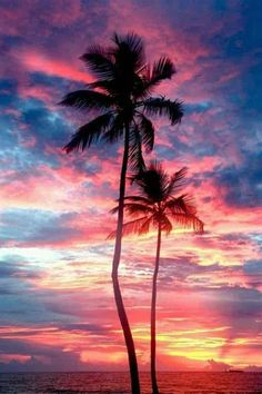 two palm trees on the beach at sunset