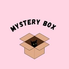 a black cat in a box with the words mystery box on it's side