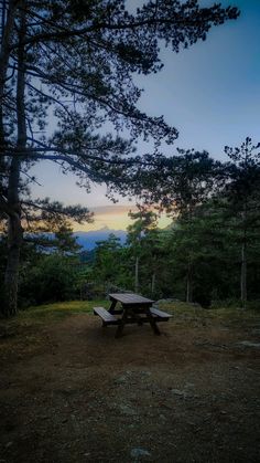 a picnic table sitting on top of a grass covered field next to a tall tree