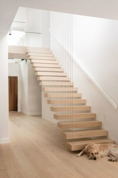 a dog laying on the floor in front of a set of stairs with wooden handrails