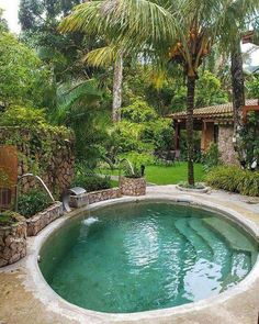 an outdoor swimming pool surrounded by trees and plants in a backyard area with stone steps leading up to it