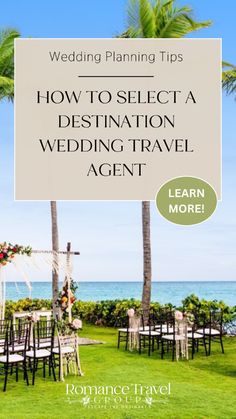 a sign that says how to select a destination for a wedding travel agent with palm trees in the background