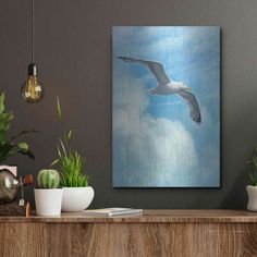 a seagull flying in the sky with clouds and succulents around it