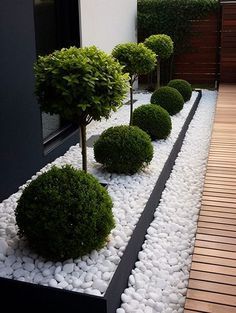 some bushes and rocks are in the middle of a small garden area with wood flooring