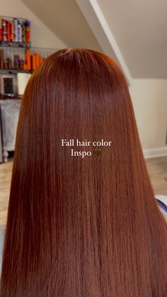 All Posts • Instagram Cheveux Oranges, Red Hair Inspo, Hair Color Auburn, Pretty Hair Color, Auburn Hair, Fall Hair Color