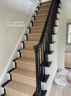 there is a set of stairs with carpet on the bottom and handrails above it