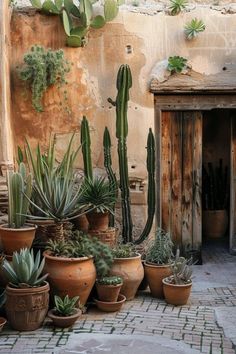 many potted plants in front of a building with an open door on the side