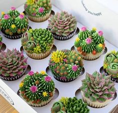 cupcakes decorated with flowers and succulents are displayed in a box