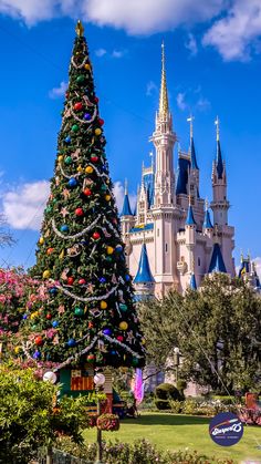 a large christmas tree in front of a castle