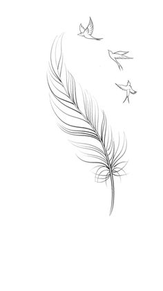 a black and white drawing of a bird flying in the sky with a feather tail