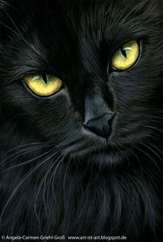 a black cat with bright yellow eyes looking at the camera while it's close up