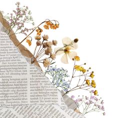 an open book with dried flowers on it