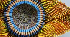 a close up view of some colored pencils in the shape of a sunflower