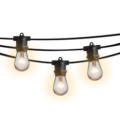 several light bulbs are hanging on a black wire