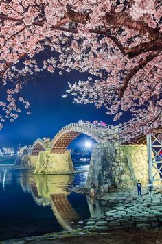 a bridge that is over some water with pink flowers on the trees and buildings in the background