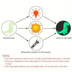 the diagram shows different types of light bulbs and other things that can be seen in this image