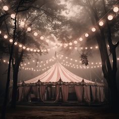 a large tent with lights hanging from it's sides