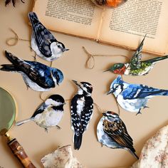 several birds sitting on top of an open book