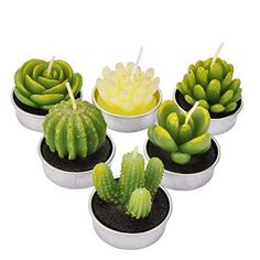 6 Pack Succulent Cactus Tea Lights Candles Delicate Candles for Home Decor   Features: 【Package Include】- 6 pcs cactus tealight candles in a box, each has a different cute plant design. 【Tealight Candles】- Made of quality paraffin wax candles material without producing black smoke, the holder at the bottom make sure it won’t spilling everywhere while burning,keep your place clean and convenient for you to change their place. 【Lasting burning time】- Each Flameless candle has 3-4 hours burning tim Candles For Birthday, Cactus Candles, Succulents Candles, Spa Home, Soya Mumu, Paraffin Wax Candles, Novelty Candles, Tealight Candles, Cute Candles