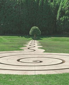 a tree sitting in the middle of a circular path with circles on it's sides