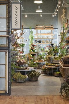 a room filled with lots of potted plants