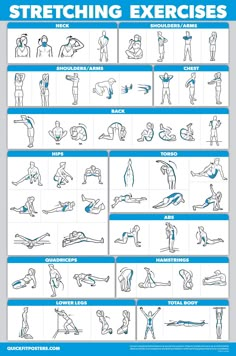 an exercise poster with instructions for stretching and exercises on the back, shoulders, arms and legs