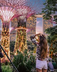 a woman standing in front of a giant tree with lights on it's top