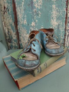 a pair of blue shoes sitting on top of a book