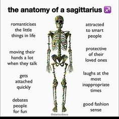 the anatomy of a sagitaruus skeleton with words below it and an image of its