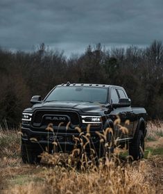 a black truck is parked in the middle of a field with tall grass and trees