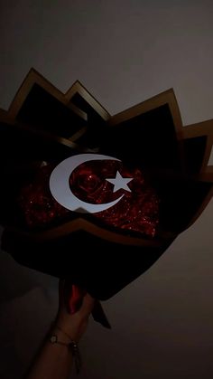 a person holding up a paper cutout with the flag of turkey in it's center