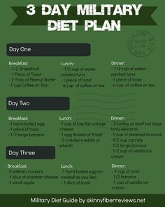 3 Day Military, Menu Planners, Lose Pounds, Diet Vegetarian, E Mc2, Diet Menu, The Plan