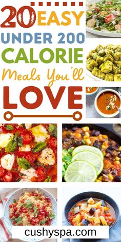 20 easy and delicious calorie meals you'll love to make for dinner