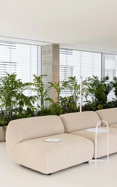 a living room filled with lots of plants next to tall windows and potted plants on either side of the couch