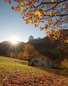 the sun shines brightly in front of a house on a hill with autumn leaves