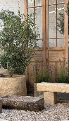 two stone benches sitting next to each other in front of a building with plants growing out of them