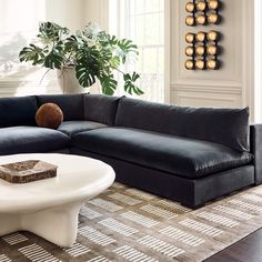 a living room with a black couch and white coffee table in front of a large potted plant