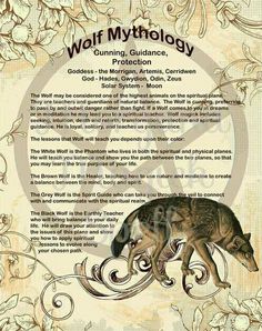 the wolf mythology book cover with an image of two wolfs on it's back