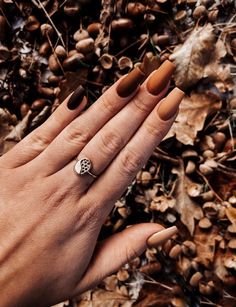 Autumn Nails Fall 2023, Autumn Nail Asthetic, Fall Nails 2023 Burnt Orange, Matte Copper Nails, 2023 Autumn Nails, Fall Nails 2023 Simple, Trendy Nails Ideas 2023 Autumn, Brown Polish Nail Designs, Autumn Nail Designs Simple