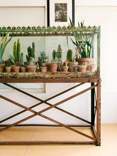 a table with many potted plants on it and an instagram post about them