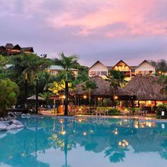 an outdoor swimming pool surrounded by palm trees and buildings at dusk with lit up lights