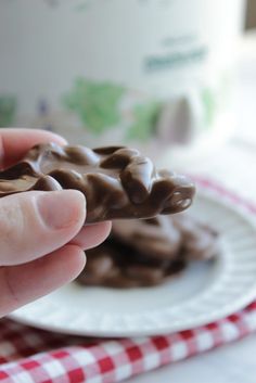 a hand holding a chocolate covered cookie on a white plate with a red and white checkered tablecloth