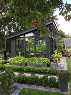 an outdoor garden with lots of plants and trees